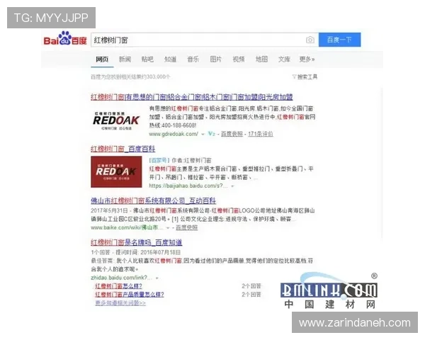 广东ag的贵宾会如何凭借优质服务赢得会员青睐,成为行业内的领先典范